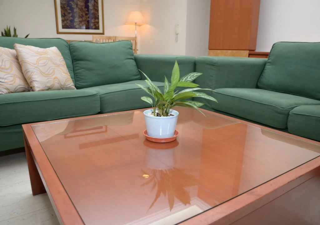 The Maple Suite