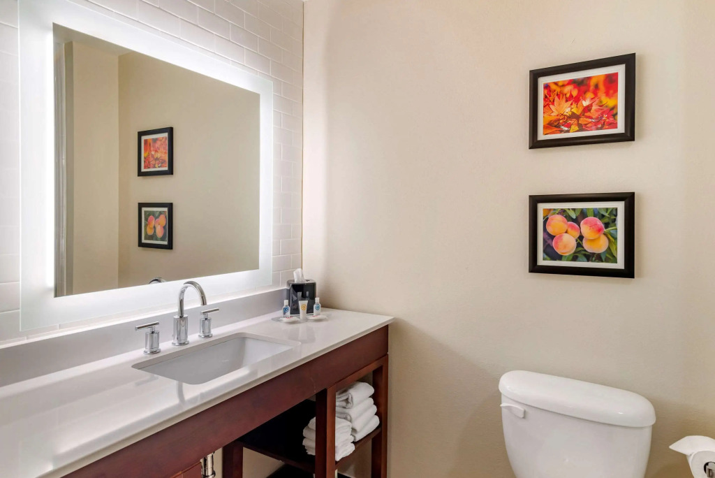 Comfort Suites Newnan