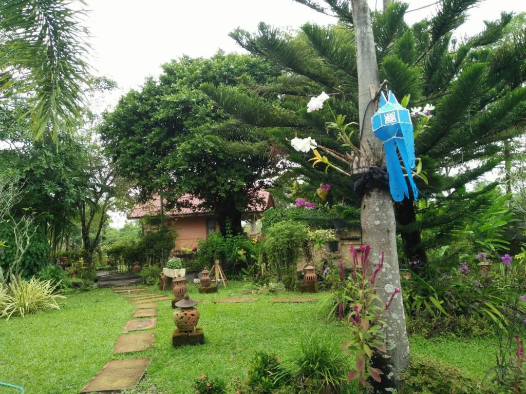 Doi Tung View Resort