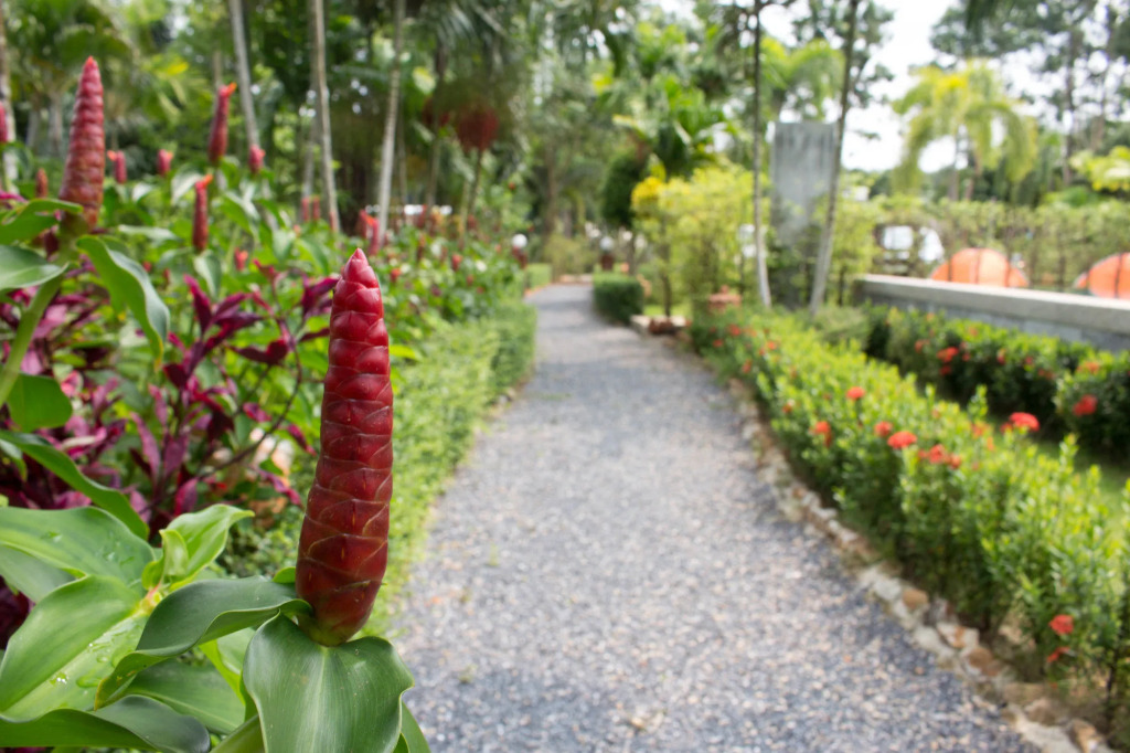 Aonang Bunk Resort