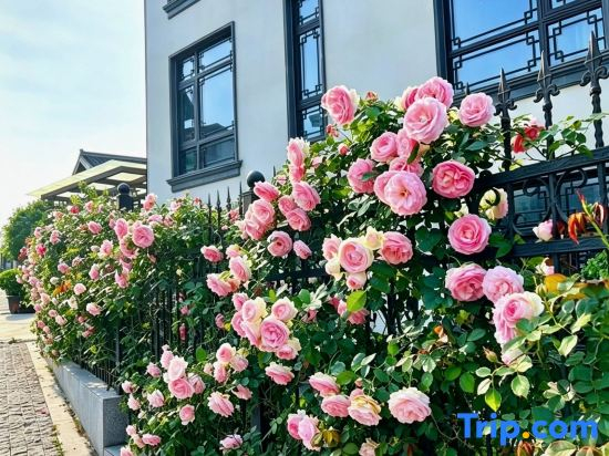 Qianheju Hot Spring Private Homestay