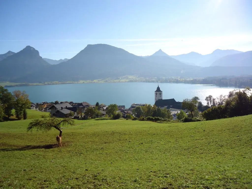 Pension Waldhorn