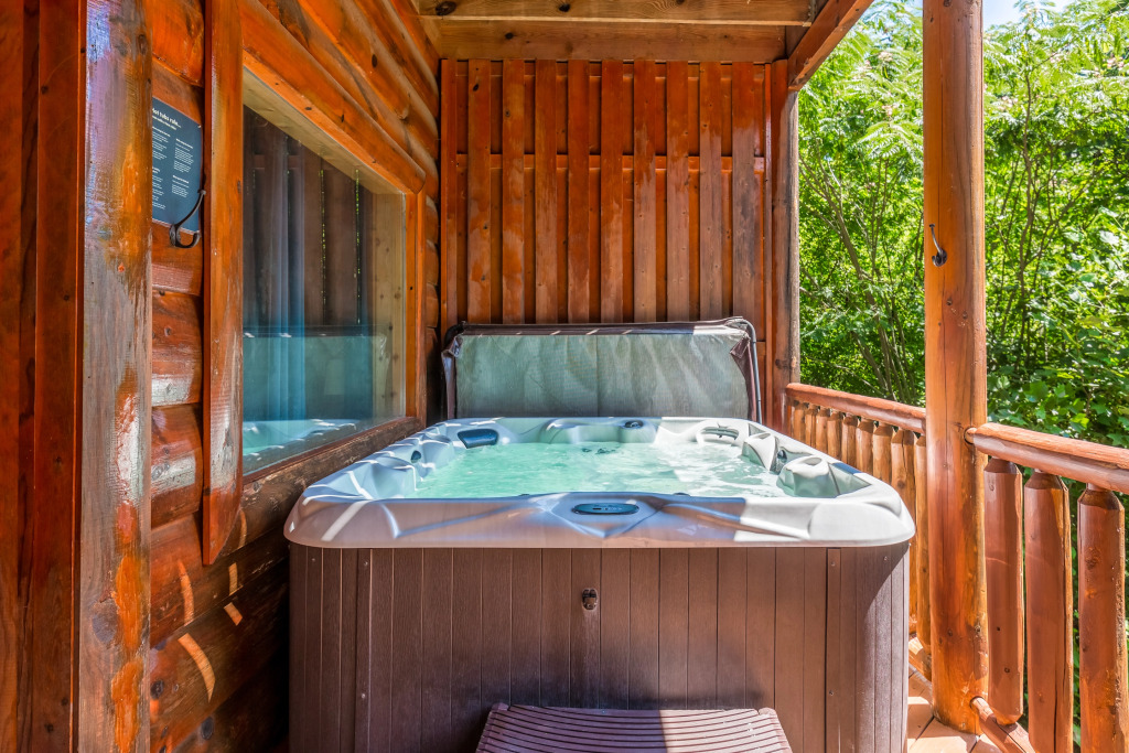 Bear Essentials Lodge Hot Tub Game Room Steam Showers and Community Pool