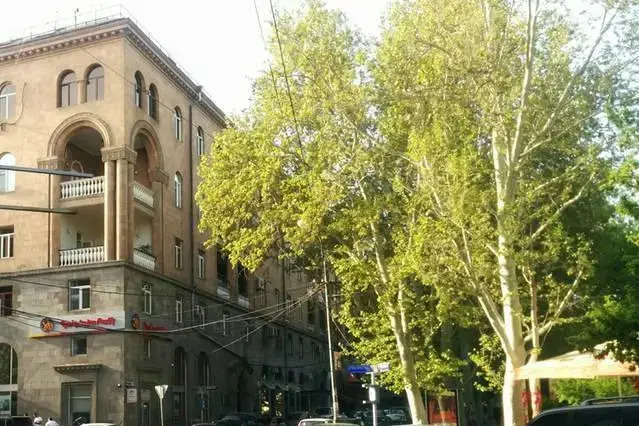 Comfy Moskovyan