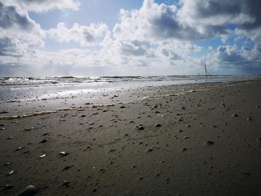 4 star holiday home in Blåvand