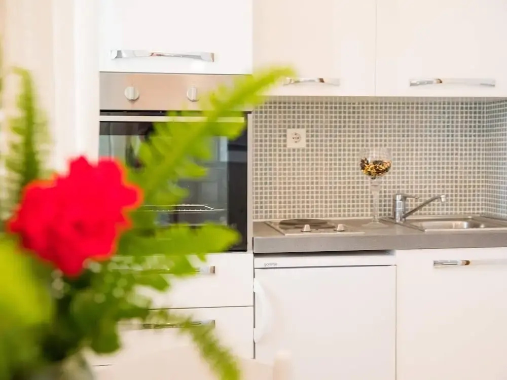 Apartments Vidak - Studio Apartment With Terrace and Sea View -