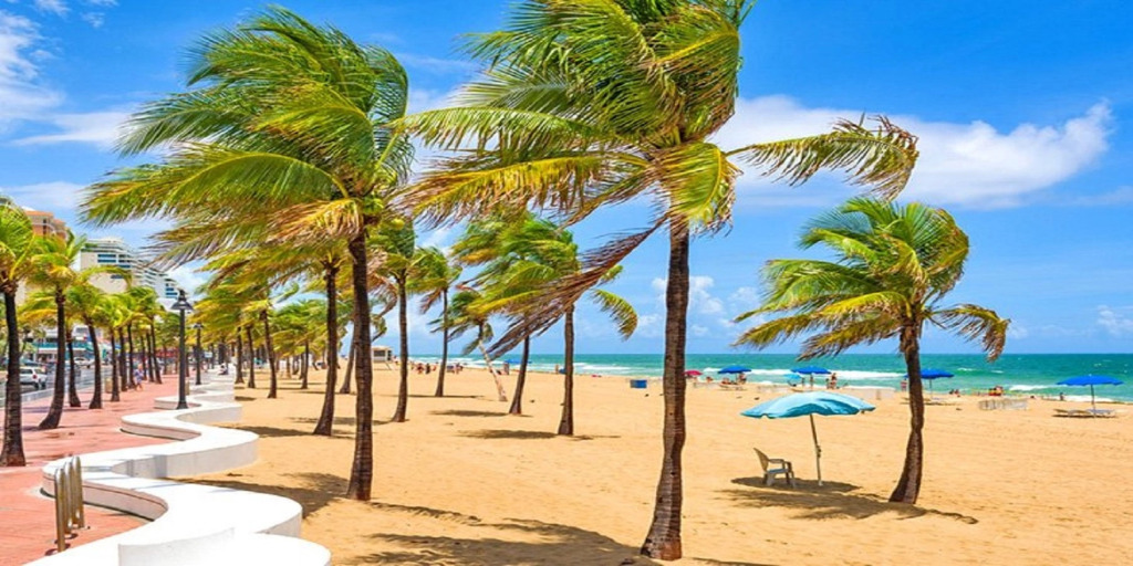 Crowne Plaza Hotel & Resorts Fort Lauderdale Airport/ Cruise by IHG