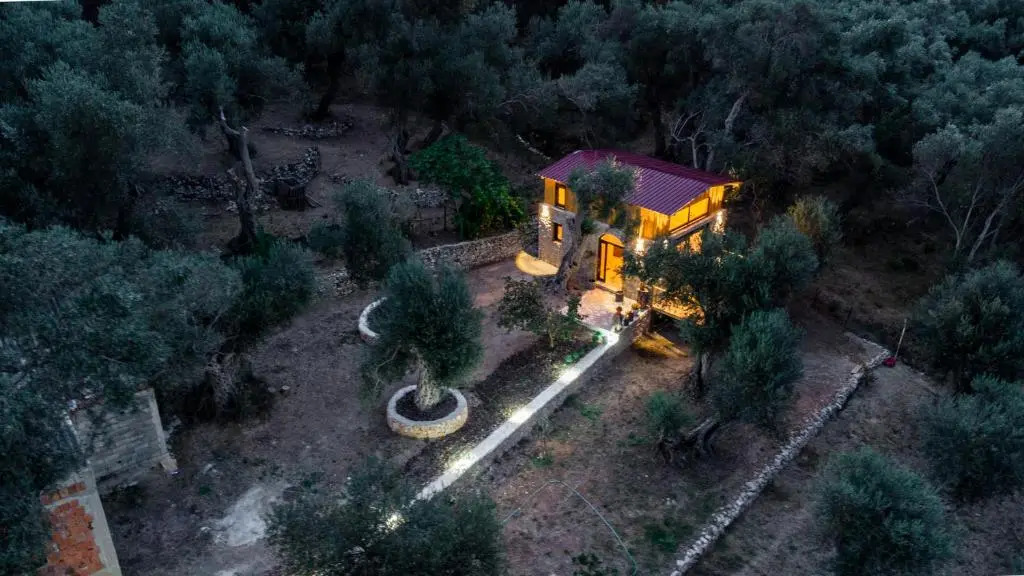 Olive Treasure