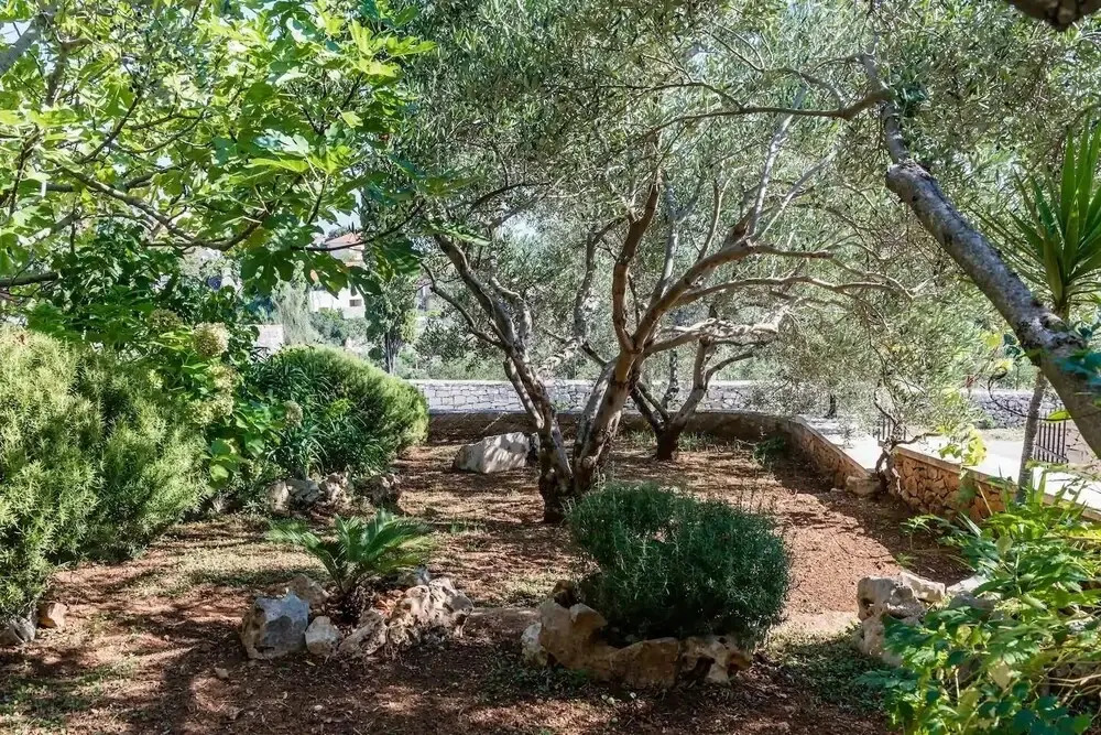 Zlatna - With Beautiful Garden - H