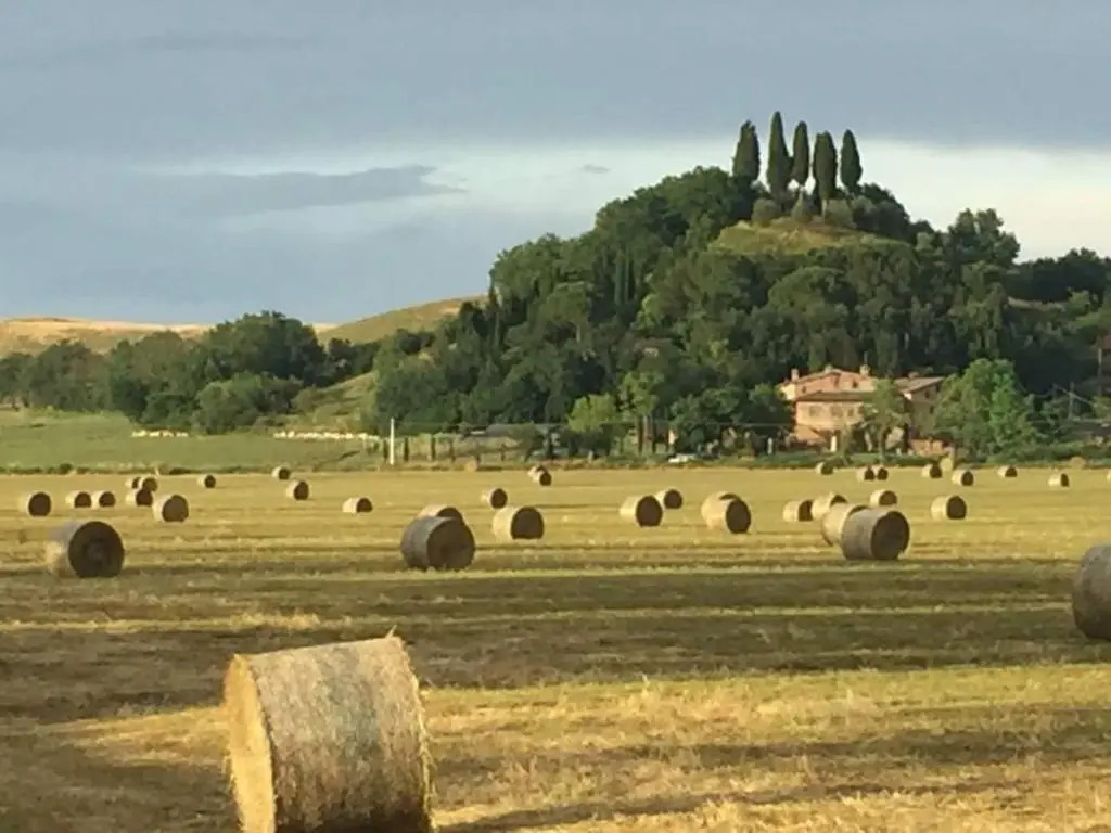 Fattoria Le Pietre Vive di Montaperti