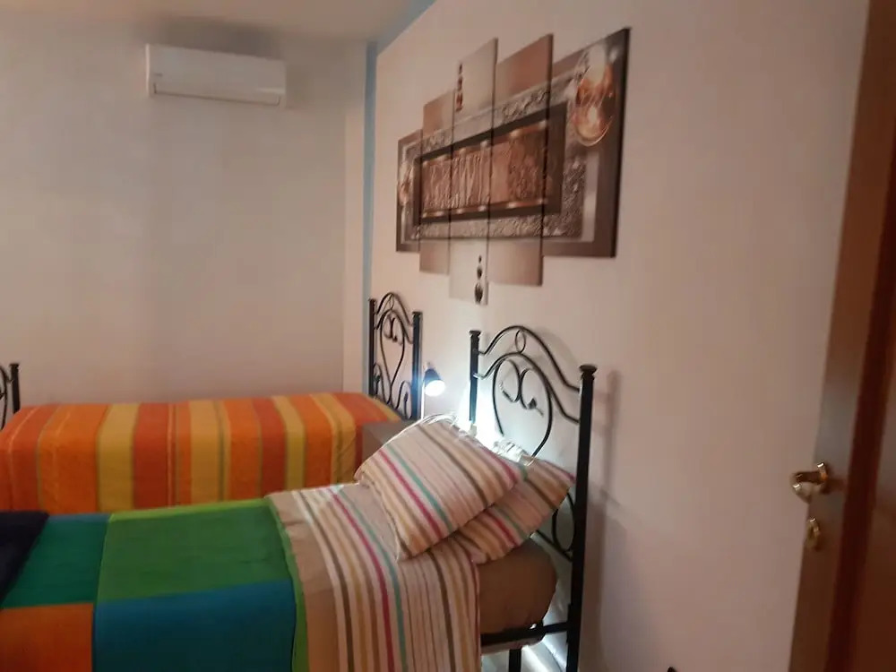 B&B Camelie