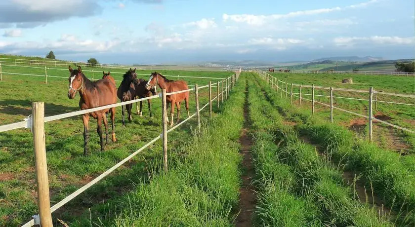 Wynnholme Stud Self Catering