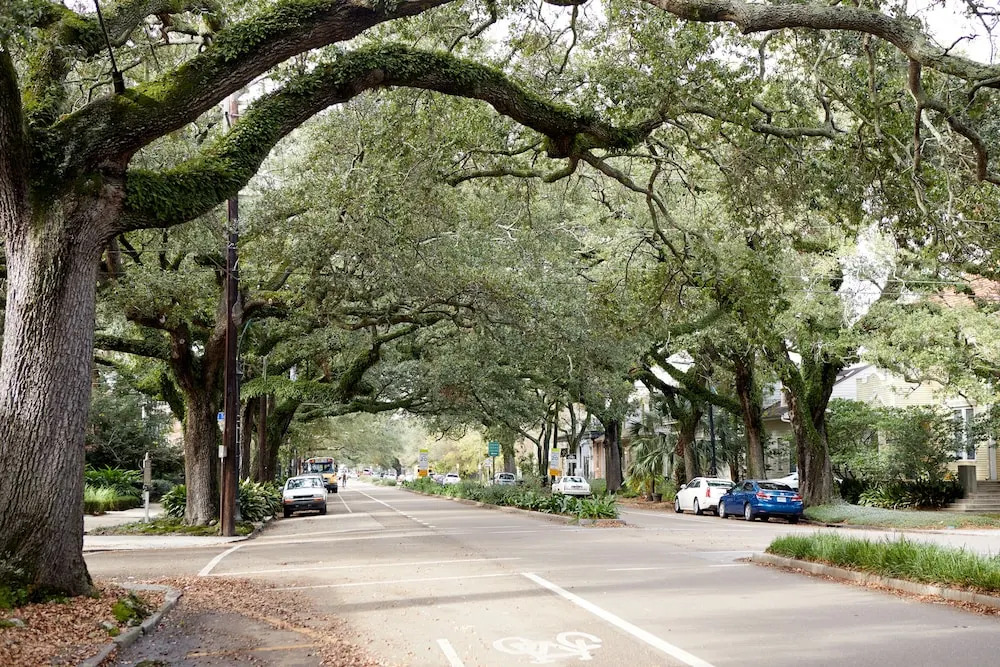 Sonder — Oakview