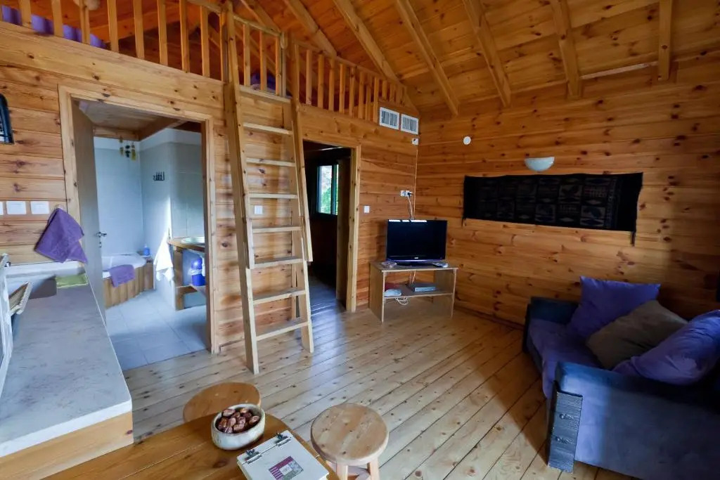 Belfer's Dead Sea cabins- Apartments