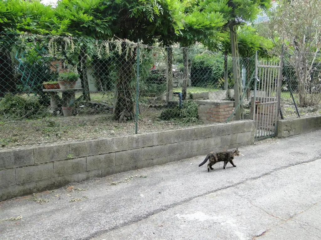 Via Del Toppo, 4