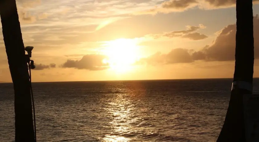 Polynesian Shores #126