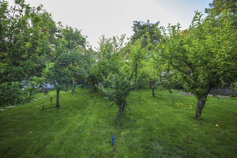 Seker Bungalov