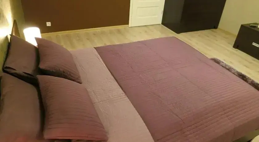 Apartament PolnaHouse