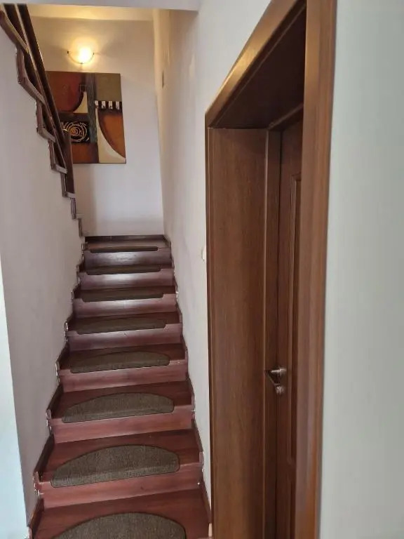 Vila Pinul si Mesteacanul