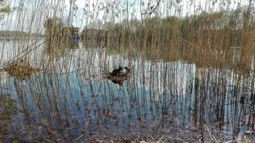 Mazury Mragowo Apartament