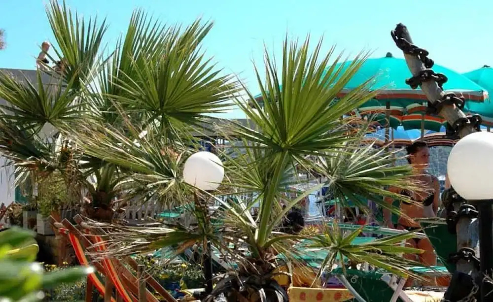 Hotel Esperia