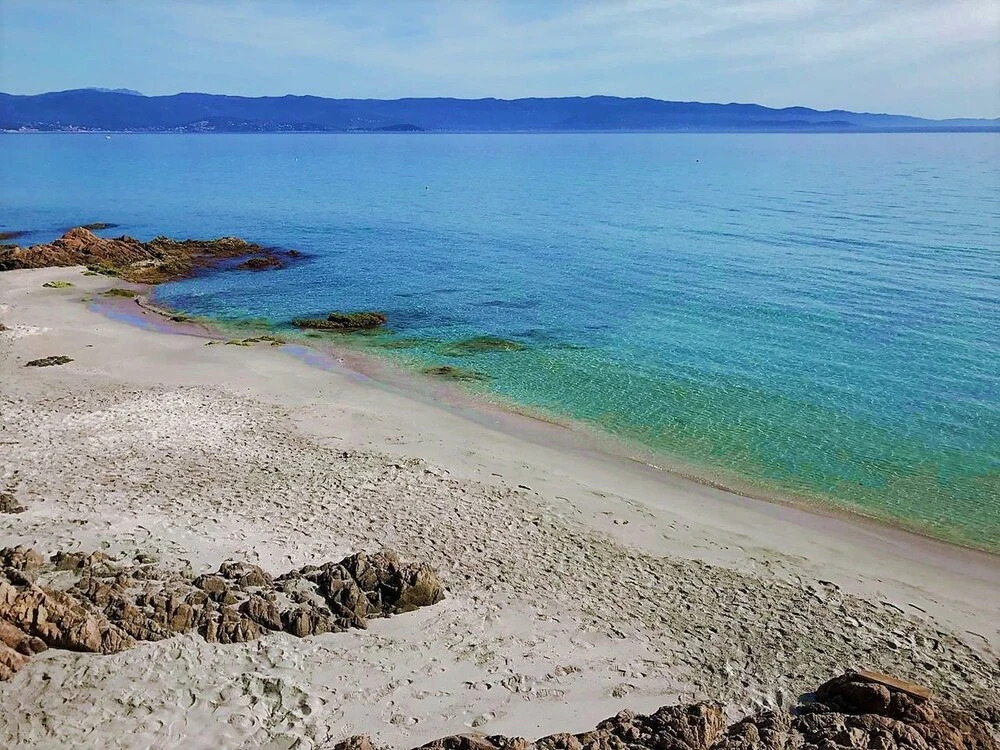 Location corsica