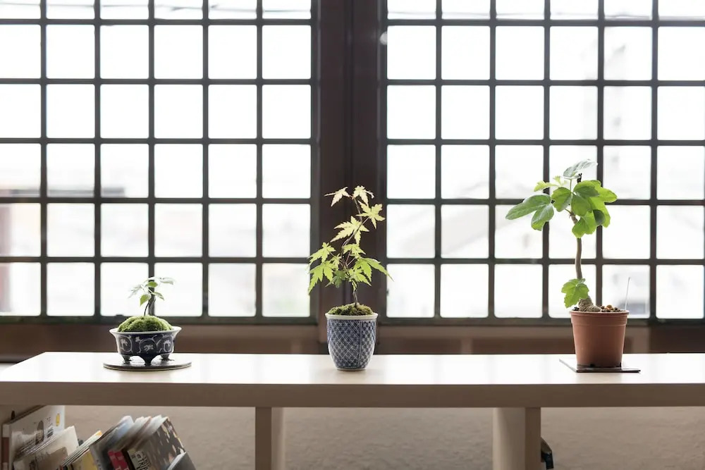 Kyoto Guesthouse Tai - Hostel