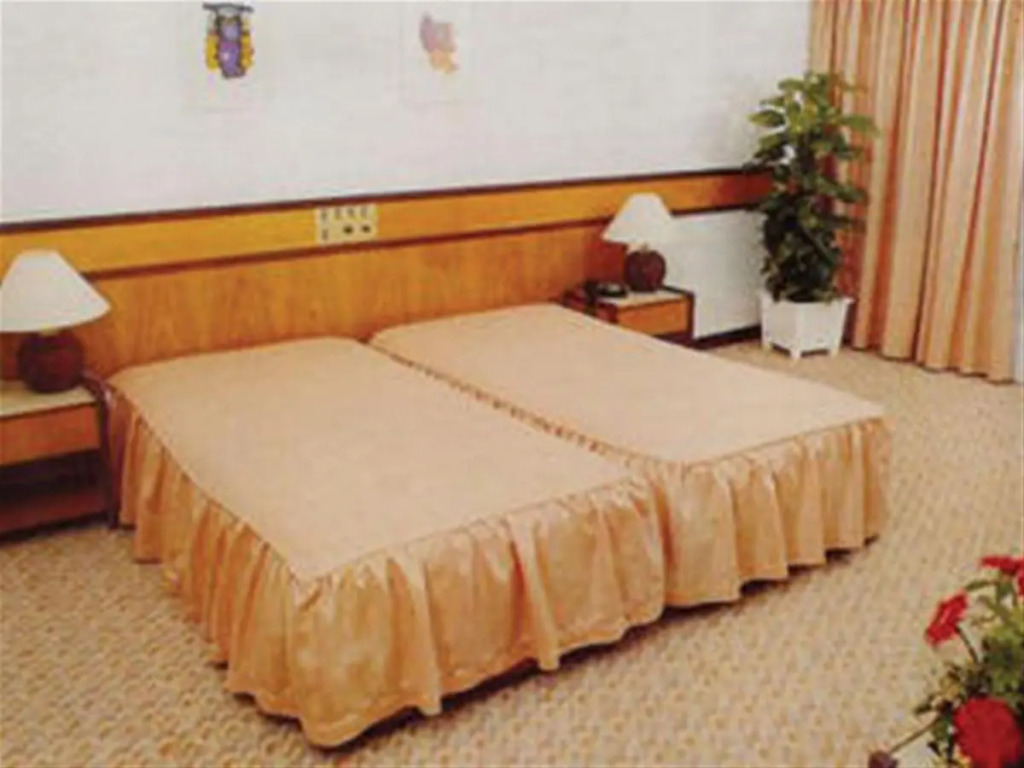 D. Afonso Hotel & SPA