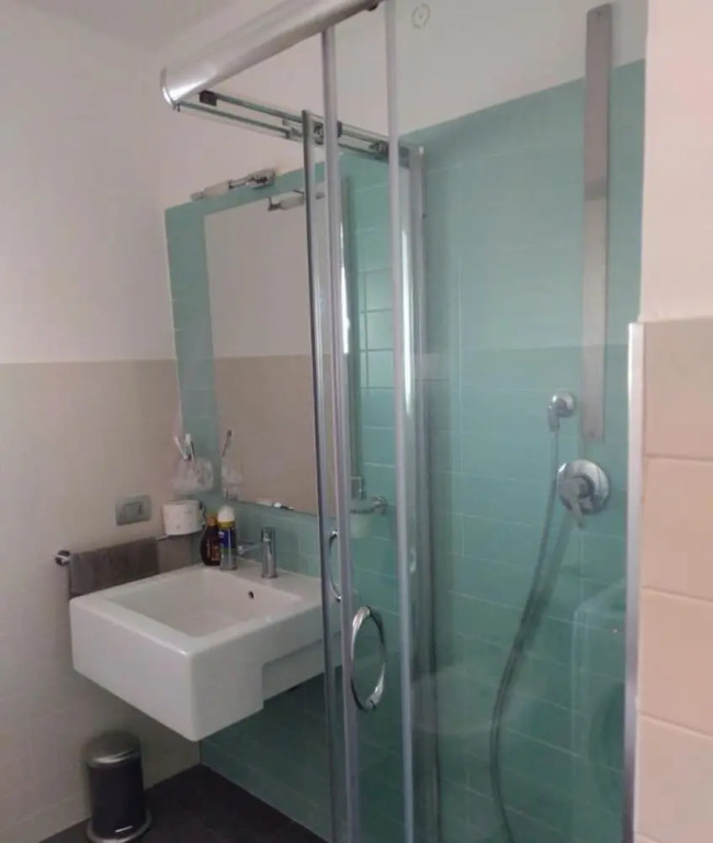 Central apartment