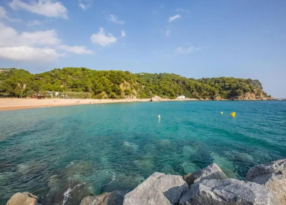 Cozy Apartment, 350m From Beach