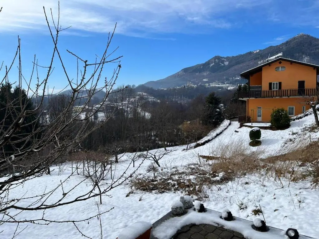 Cosy, pet Friendly Apartment in Portula, Italy