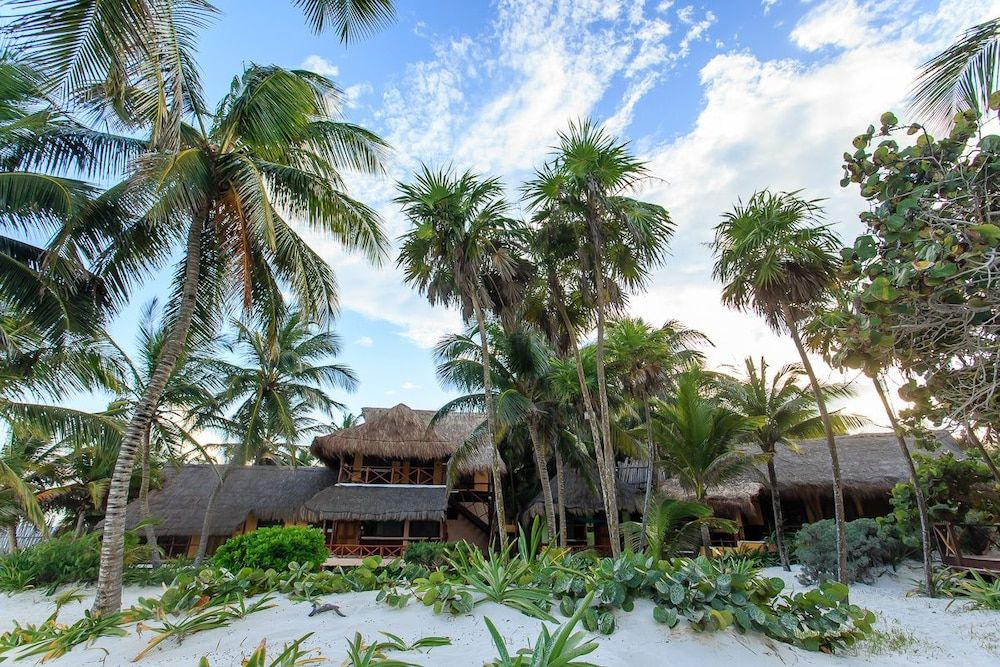 Bt Live Tulum