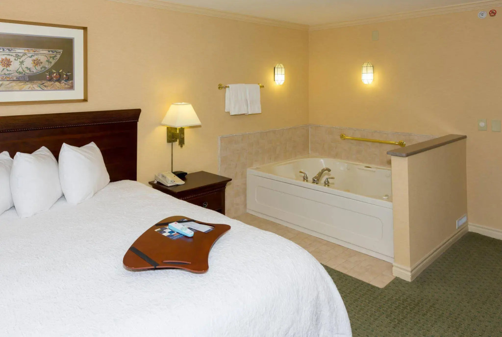 Hampton Inn Buffalo-Williamsville
