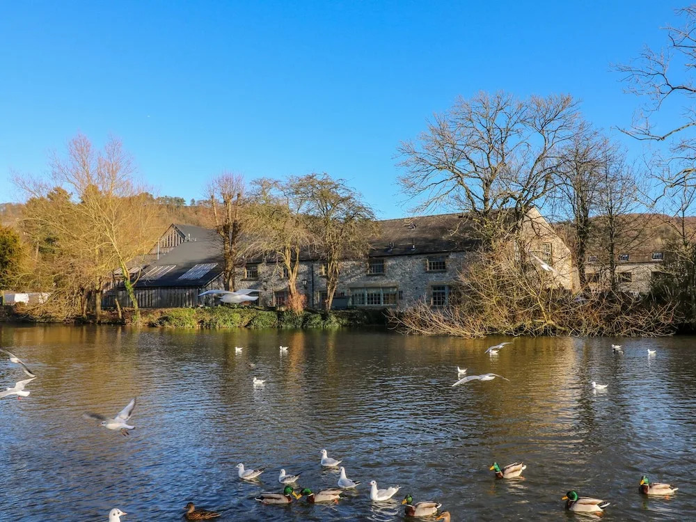 The Old Sawmill