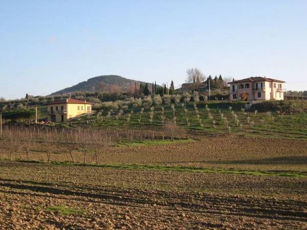 B&B Il Girasole