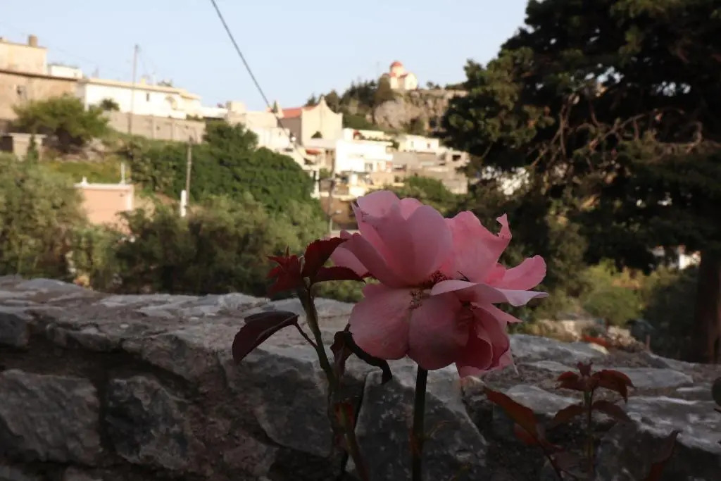 Petasos House, Sea View with Private Garden