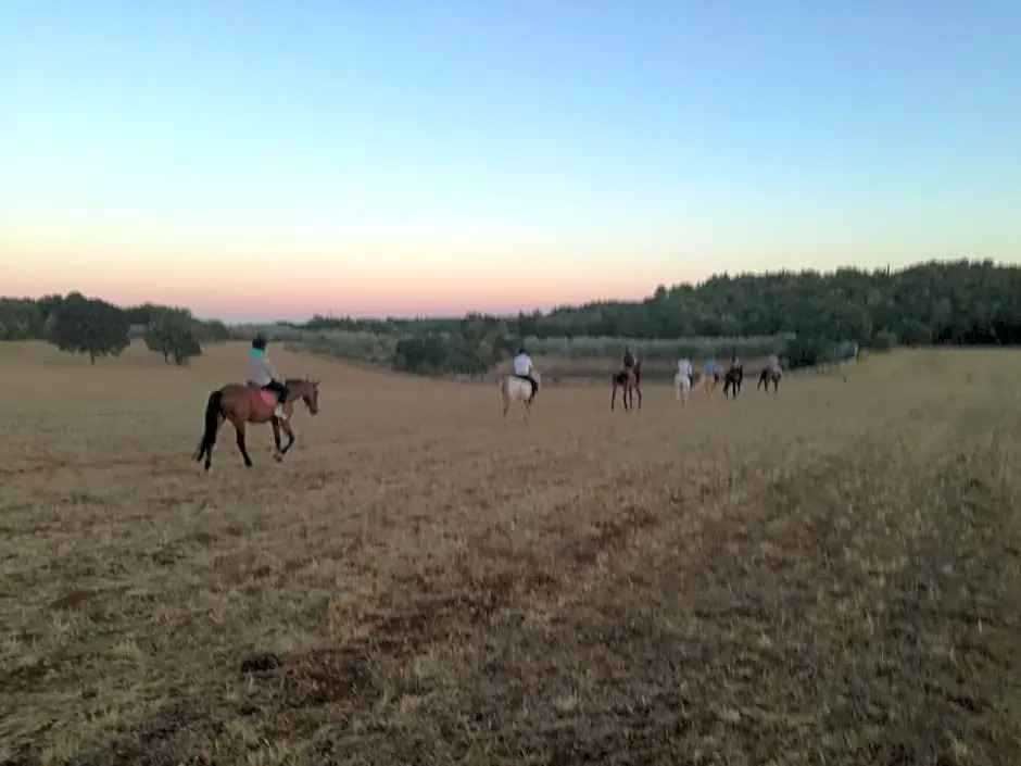 Agriturismo Fasano