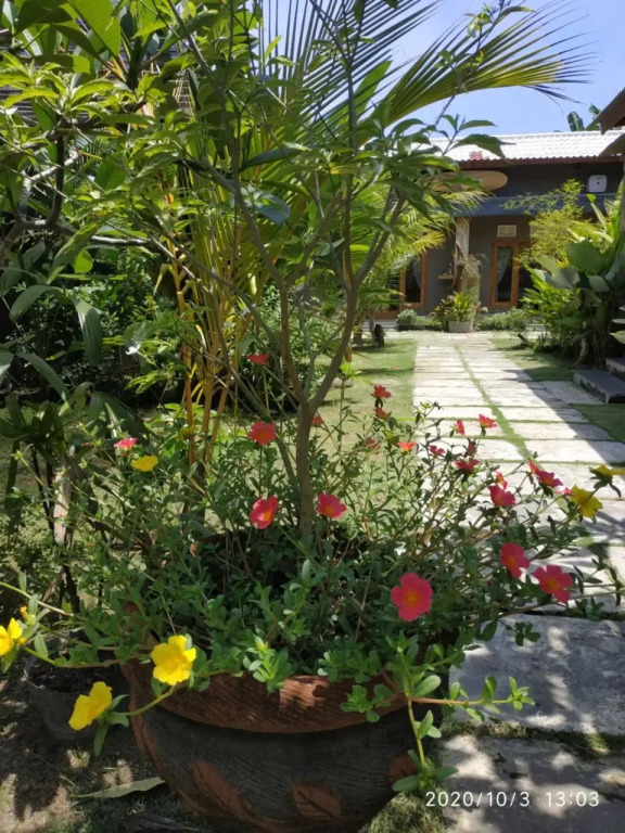 Surf Retreat Villa Sari Bali
