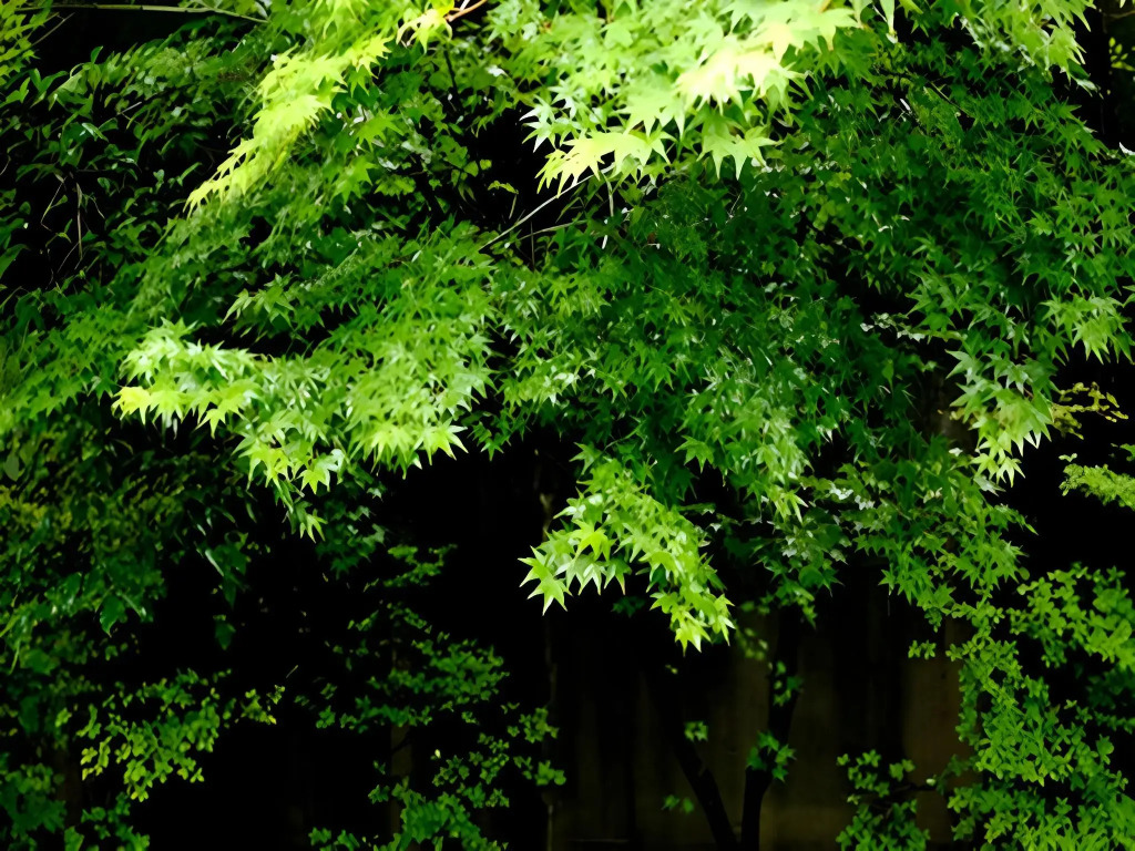 Tsumikusa No Yado Komatsu Ryokan