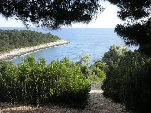 Apartment Anethum