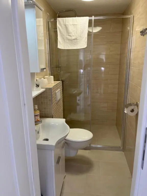 Outstanding large apartment for 6+2