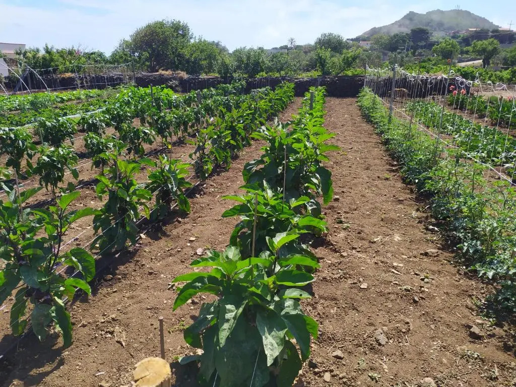 Agriturismo Hibiscus