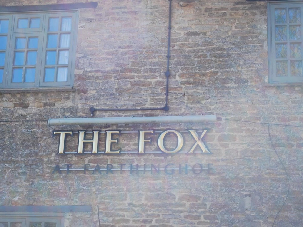 Fox at Farthinghoe