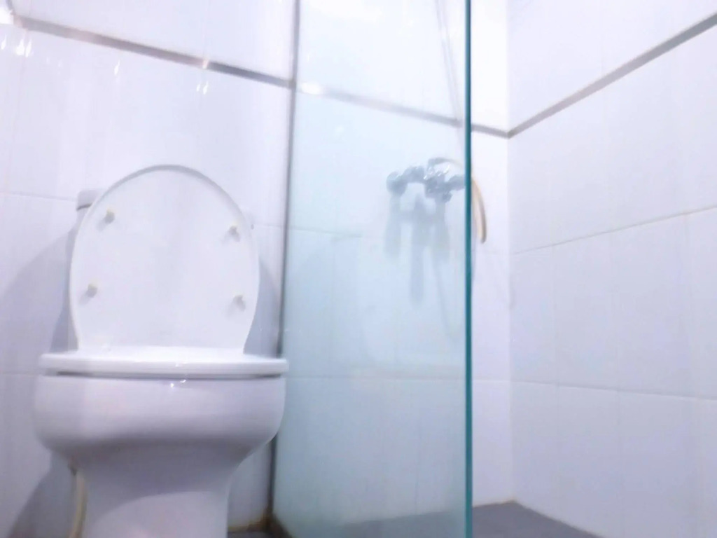 Sofyan Hotel Cut Meutia