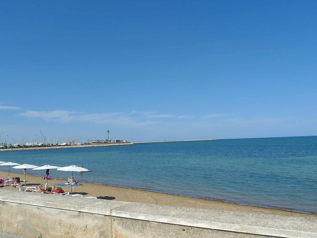 Oasis Beach