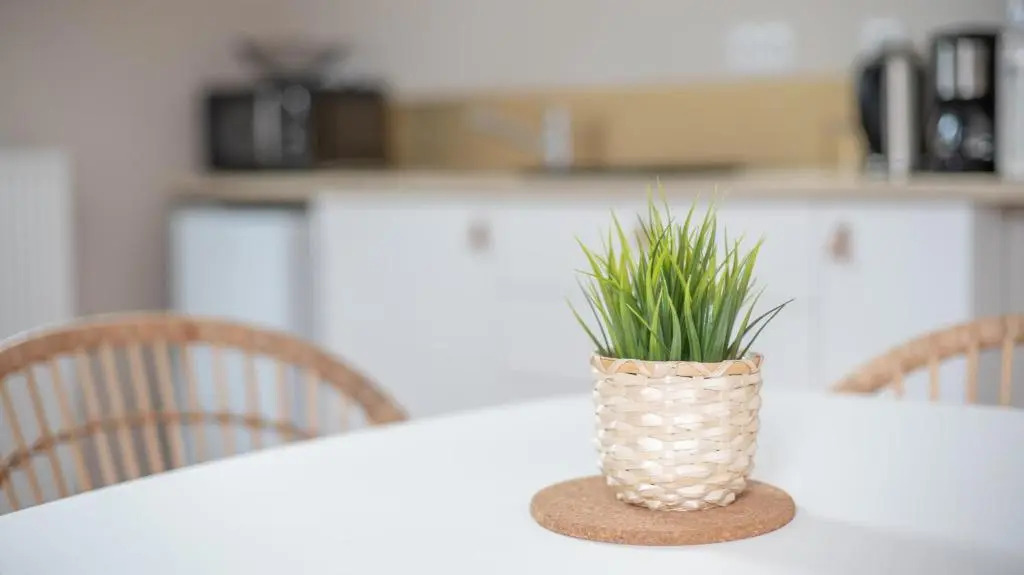 La Maison de la Douce Heure, 4 appartements climatisés avec jardin au centre ville proche des Thermes