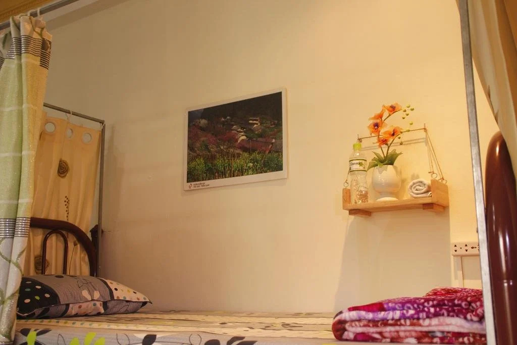 Trip Danang Hostel