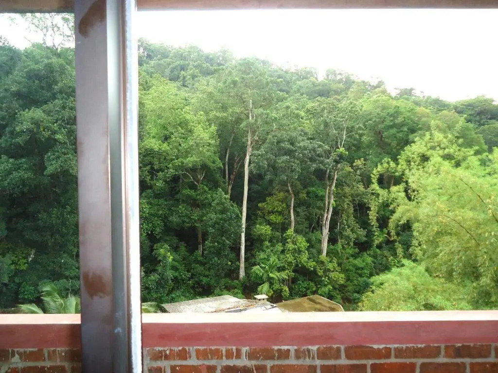 Green Woods