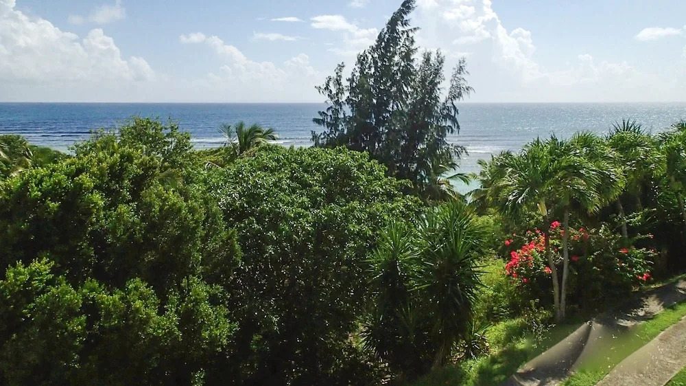 Apartment With one Bedroom in Saint-françois, With Wonderful sea View,