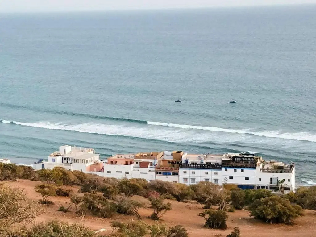 Surf & Skate